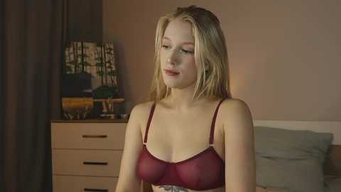alicelebel