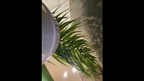 andreamood @ stripchat on 20251005