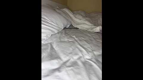 arab_mimi @ stripchat on 20251005