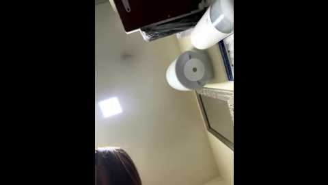 roouse @ stripchat on 20251005