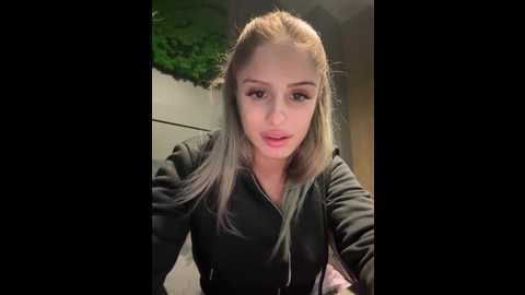 sophievj