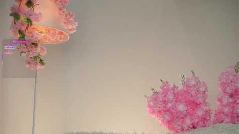 amilewis @ stripchat on 20251007