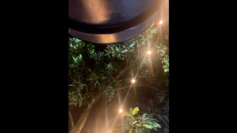 aurora_coldd @ stripchat on 20251007