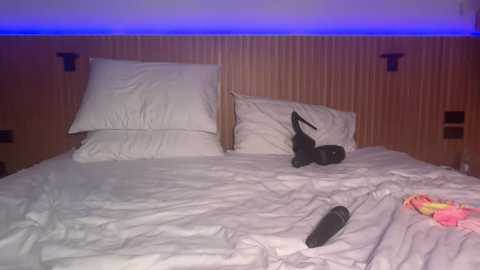 oliviafranciis @ stripchat on 20251007