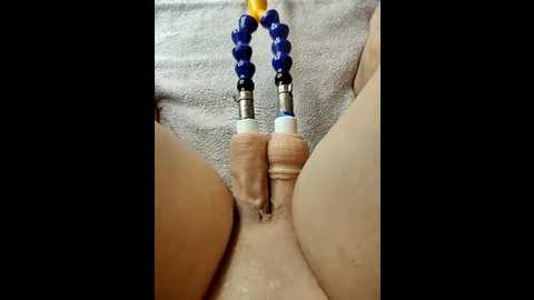 lola_hale @ stripchat on 20251008