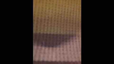 katee_jones @ stripchat on 20251009