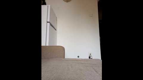 virggin_pussy_cum @ stripchat on 20251009