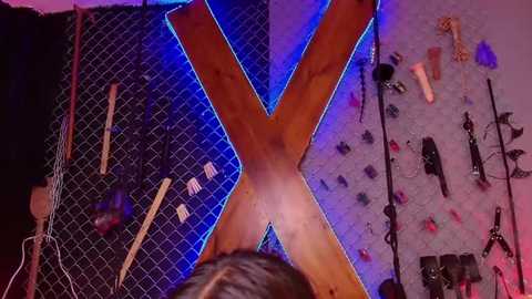 warick_and_aria_bdsm_