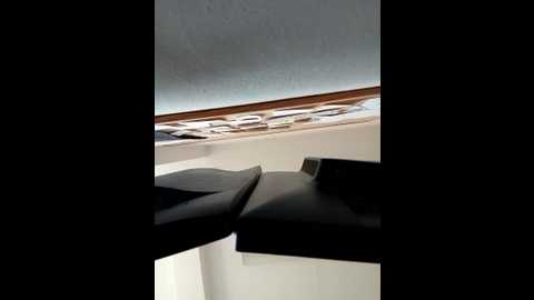 milf_love_fist99 @ stripchat on 20251015