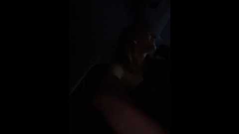 _angelari_
