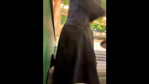 andreamood @ stripchat on 20251018