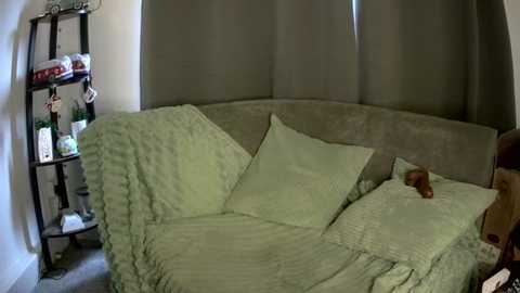 fckableangel @ stripchat on 20251018