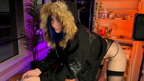 _vixenp