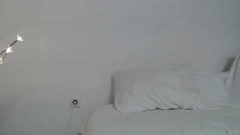 nnn_hhh2 @ stripchat on 20251019