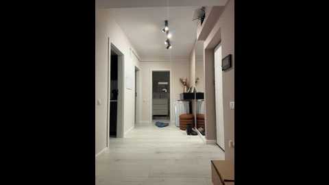 sexy_lady_30 @ stripchat on 20251019