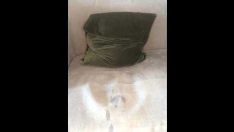 devil__01 @ stripchat on 20251020