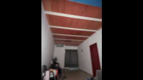 lalilamassu1 @ stripchat on 20251021