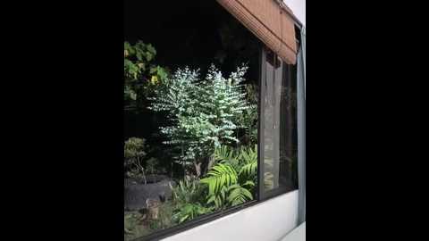 rose_andres @ stripchat on 20251021