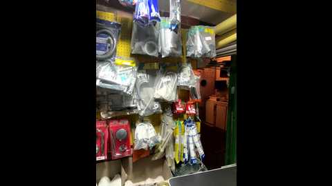 madame_arlette @ stripchat on 20251022