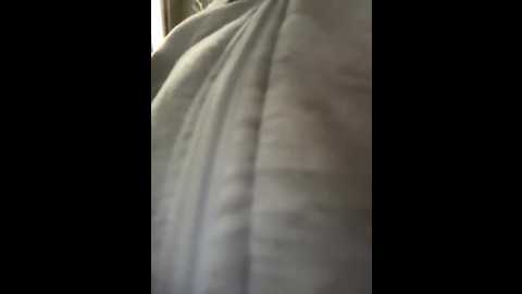 estavista @ stripchat on 20251023