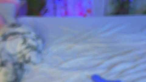 evahair @ stripchat on 20251023