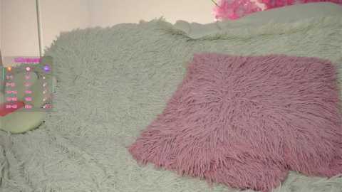 amilewis @ stripchat on 20251024