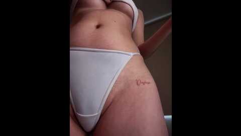 anita_vega @ stripchat on 20251024