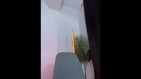 celine_roxelle @ stripchat on 20251024