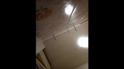 maialona78 @ stripchat on 20251024