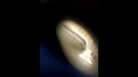 milf_love_fist99 @ stripchat on 20251024