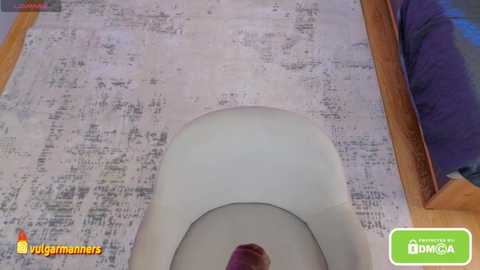 pleasure_you_ @ stripchat on 20251024