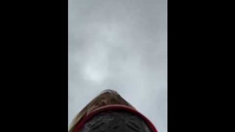 _angelari_