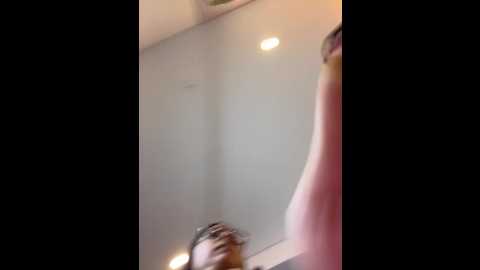 charlotte_stevenss_