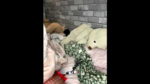 poppy_frankie