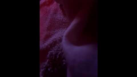 iitaniee @ stripchat on 20251029