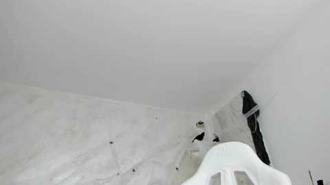 lissababe1 @ stripchat on 20251029