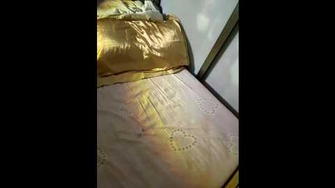 lunakissing @ stripchat on 20251029