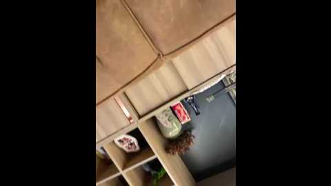 zhenzhen666 @ stripchat on 20251103