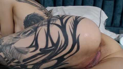 emma_foxi @ stripchat on 20251104