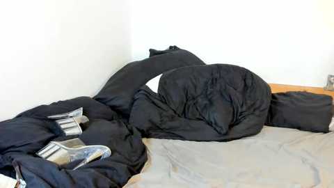 fraumueller @ stripchat on 20251106