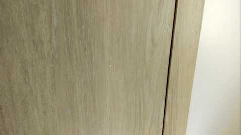 rachel_rey @ stripchat on 20251107