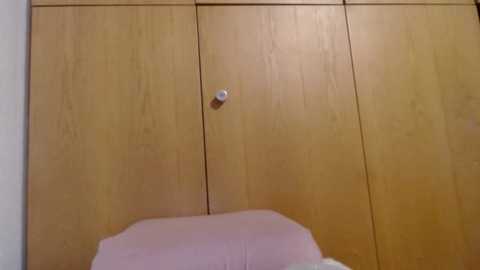 bellefleurrr @ stripchat on 20251108