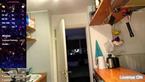 cc_uncensored @ stripchat on 20251109