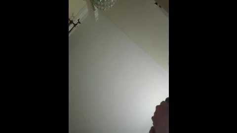 arab_wild_mature @ stripchat on 20251110