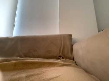 banshhee @ stripchat on 20251110