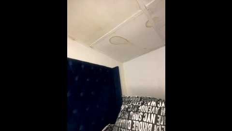 boneca25 @ stripchat on 20251112