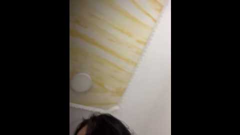 clarachanelricek @ stripchat on 20251112