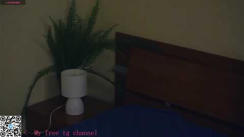 engelalman @ stripchat on 20251112