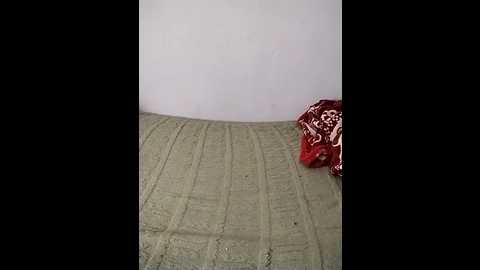 haanaan_arabic @ stripchat on 20251112