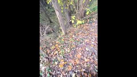 claudia__frank @ stripchat on 20251113